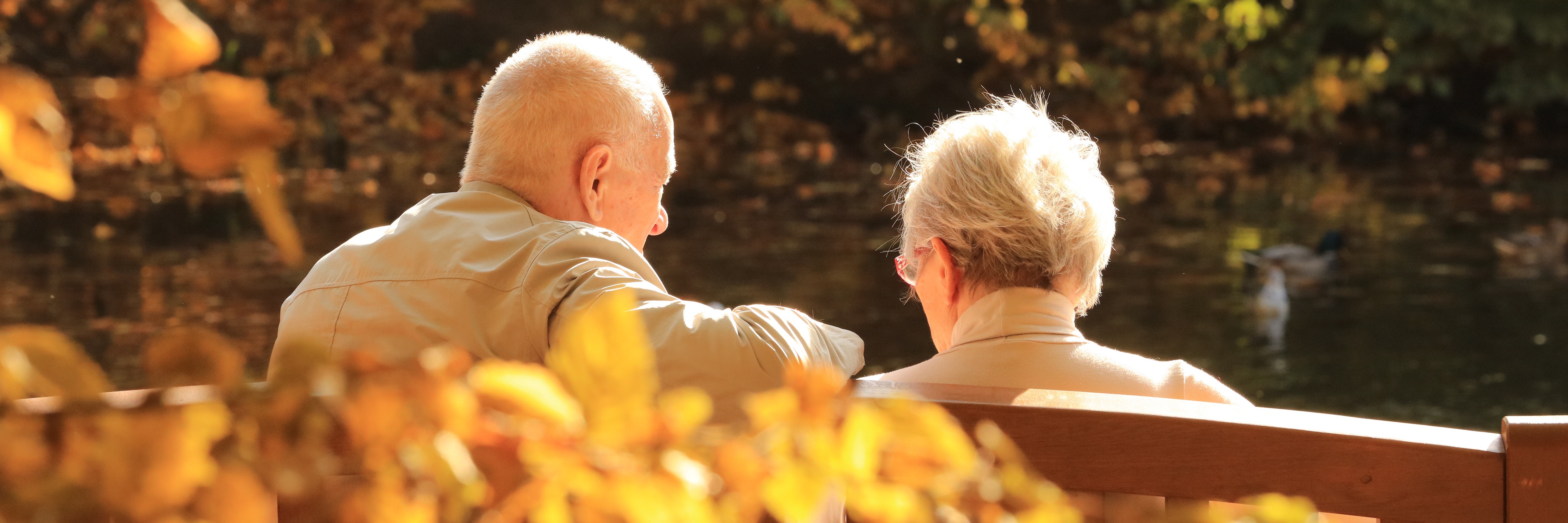 baby-boomers-in-the-park-senior-grandparent-2022-03-05-20-21-50-utc baby-boomers-in-the-park-senior-grandparent-2022-03-05-20-21-50-utc